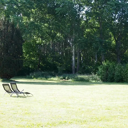 Galerie F West Gingst